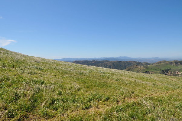 DSC 2508