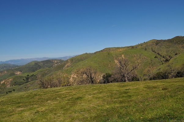 DSC 2515