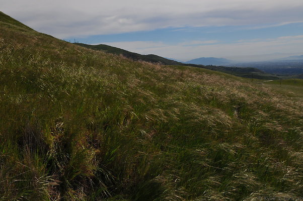 DSC 2405