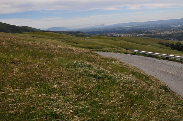 DSC 2386