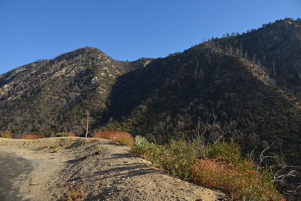 DSC 3355