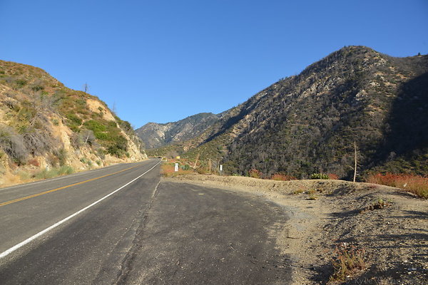 DSC 3354
