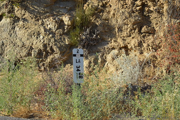 DSC 3331a