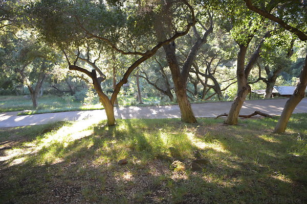 DSC 0805