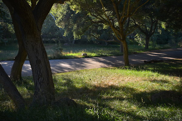 DSC 0764