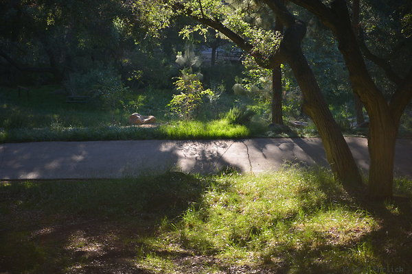 DSC 0801