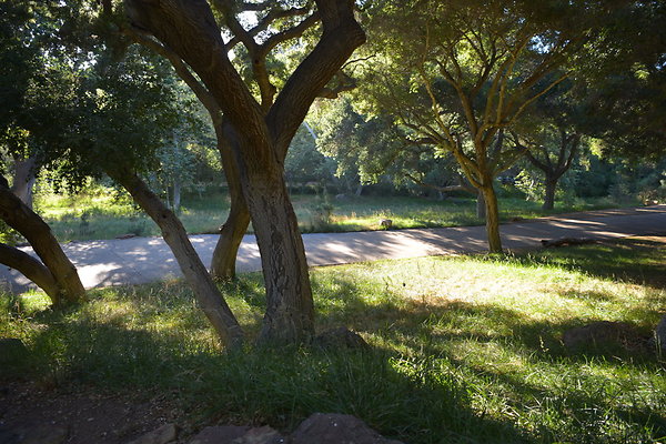 DSC 0767