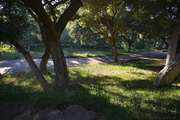DSC 0763