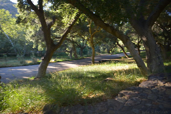 DSC 0758