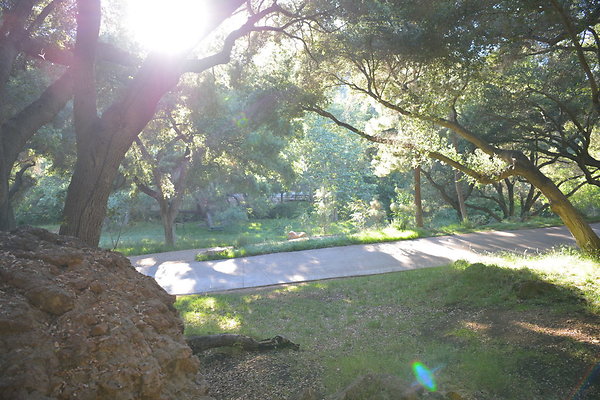 DSC 0797