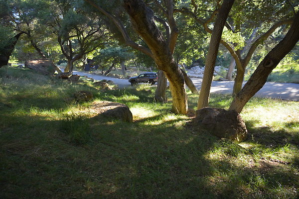 DSC 0778