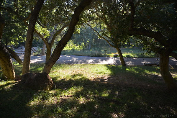 DSC 0779