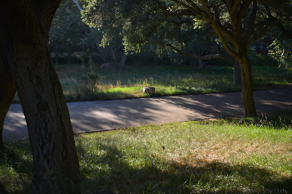 DSC 0765
