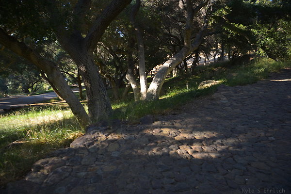 DSC 0759