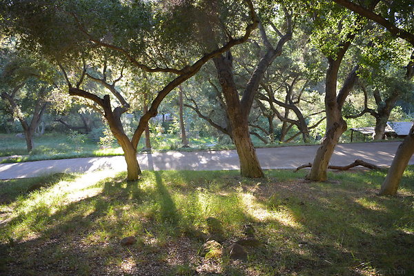 DSC 0809