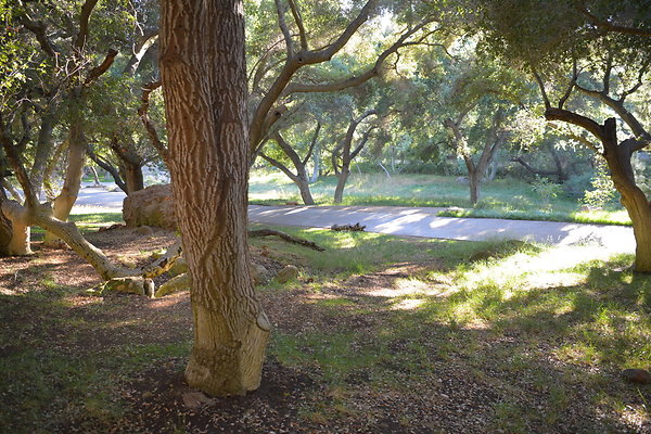 DSC 0808