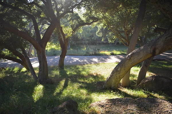 DSC 0769