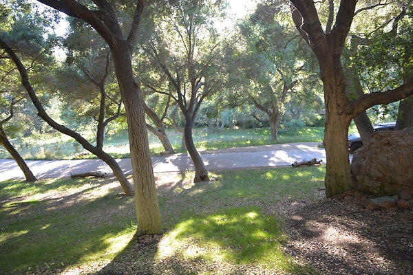 DSC 0688