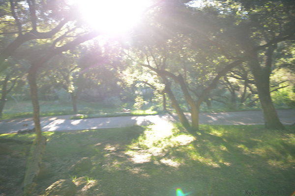 DSC 0803