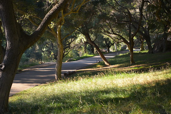 DSC 0749