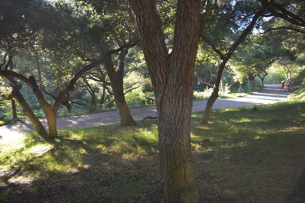 DSC 0804
