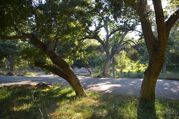 DSC 0720