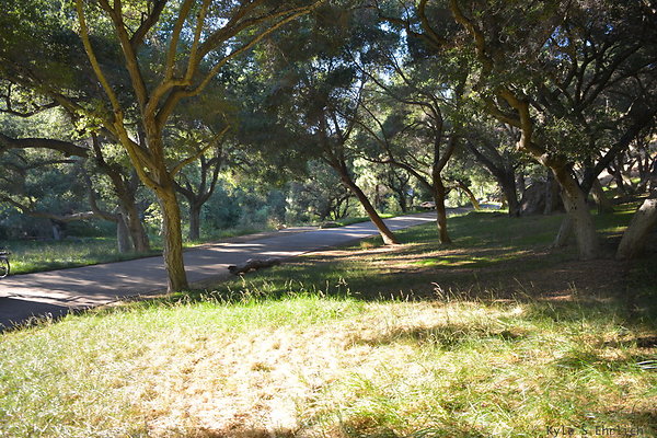 DSC 0722
