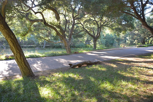 DSC 0716