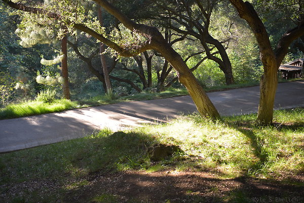 DSC 0695