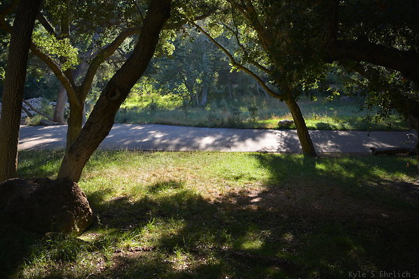 DSC 0776