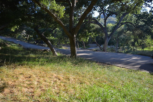 DSC 0714