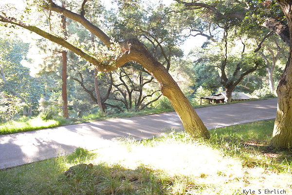DSC 0813