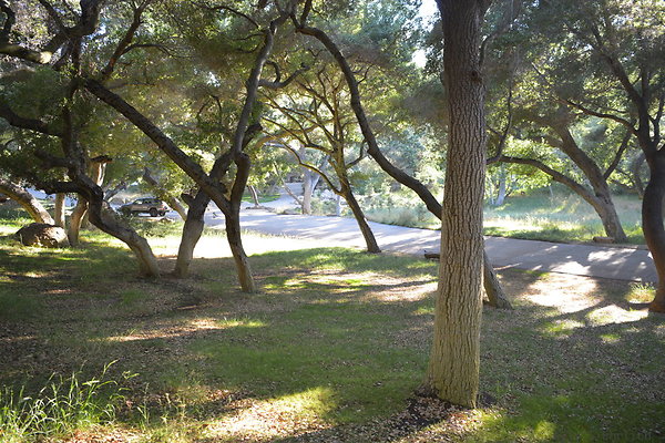 DSC 0790