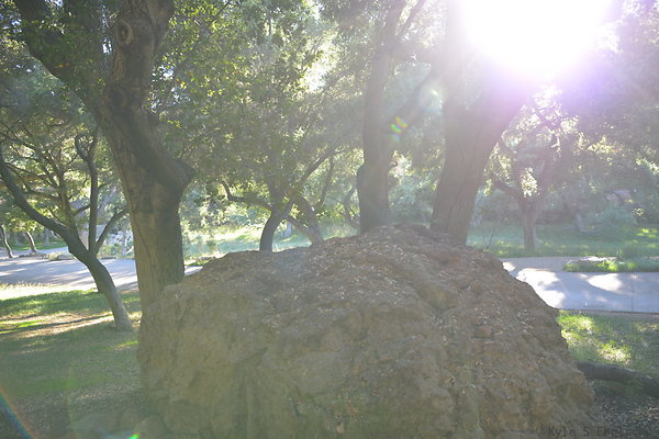 DSC 0796