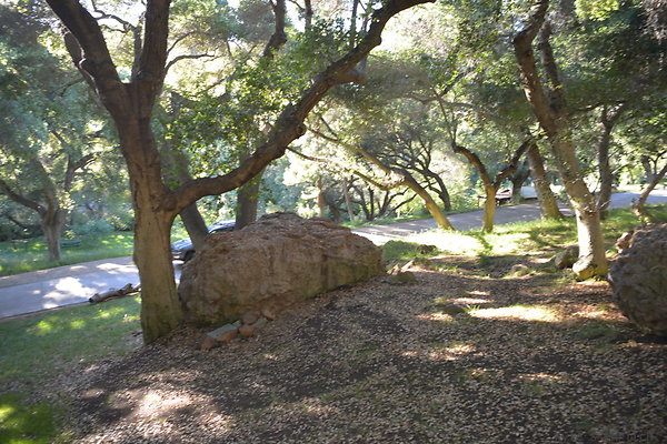DSC 0689