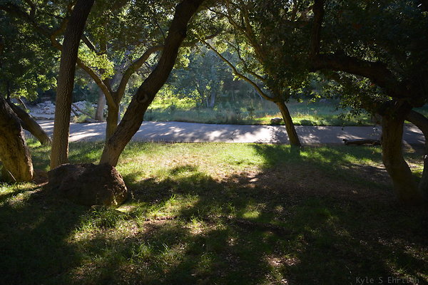 DSC 0775