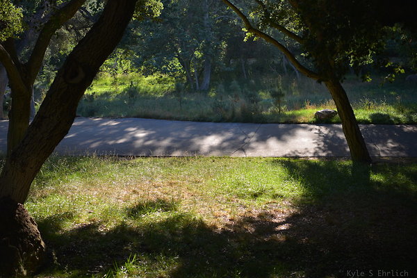 DSC 0777