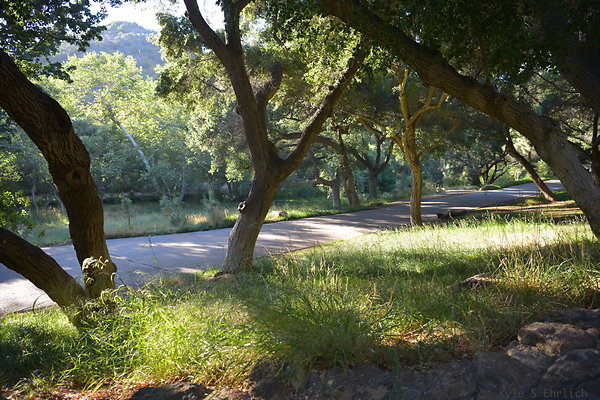 DSC 0760