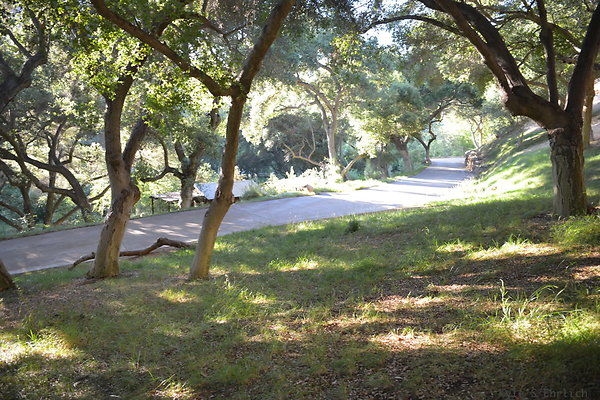 DSC 0810