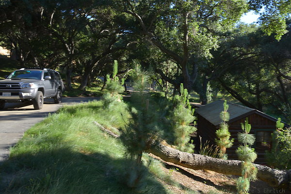 DSC 0555