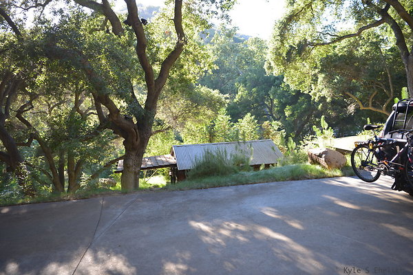 DSC 0568