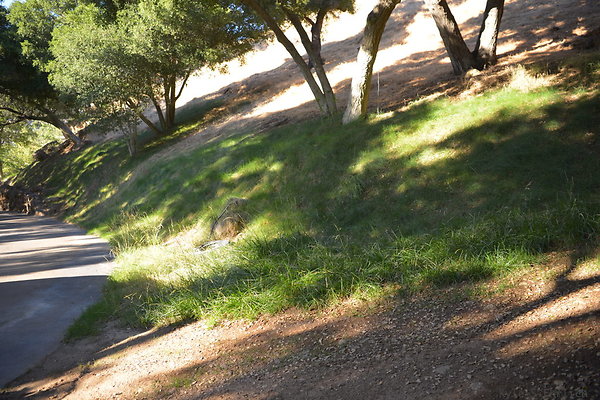 DSC 0570