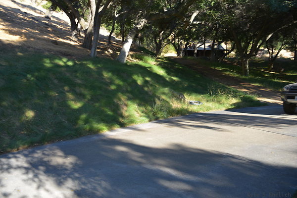 DSC 0553