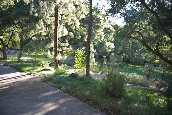 DSC 0544