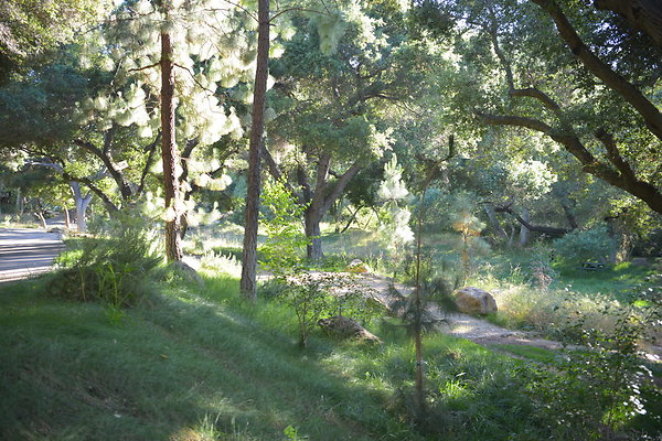 DSC 0594