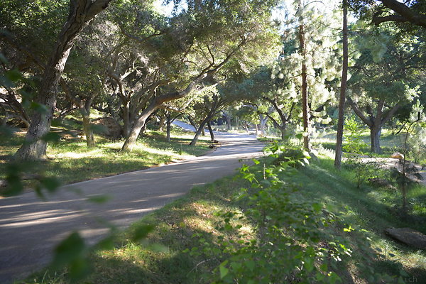DSC 0586
