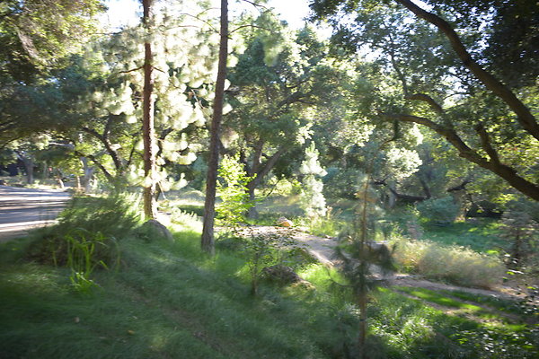 DSC 0529
