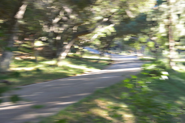 DSC 0584