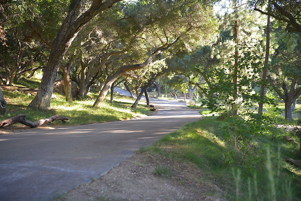 DSC 0572