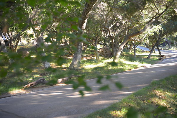 DSC 0580